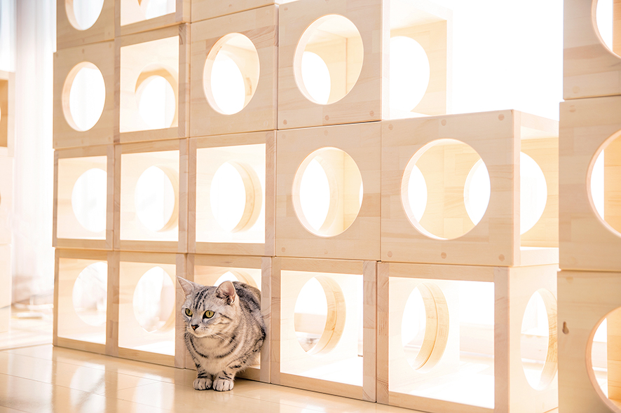 ねこ家具 ねこ家具