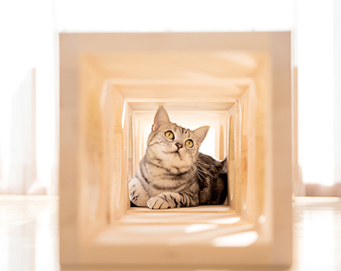ねこ家具 ねこ家具