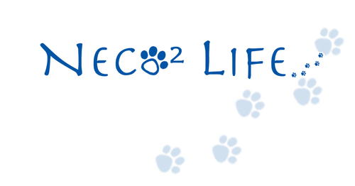 ねこねこ生活,Neco2 LIFE